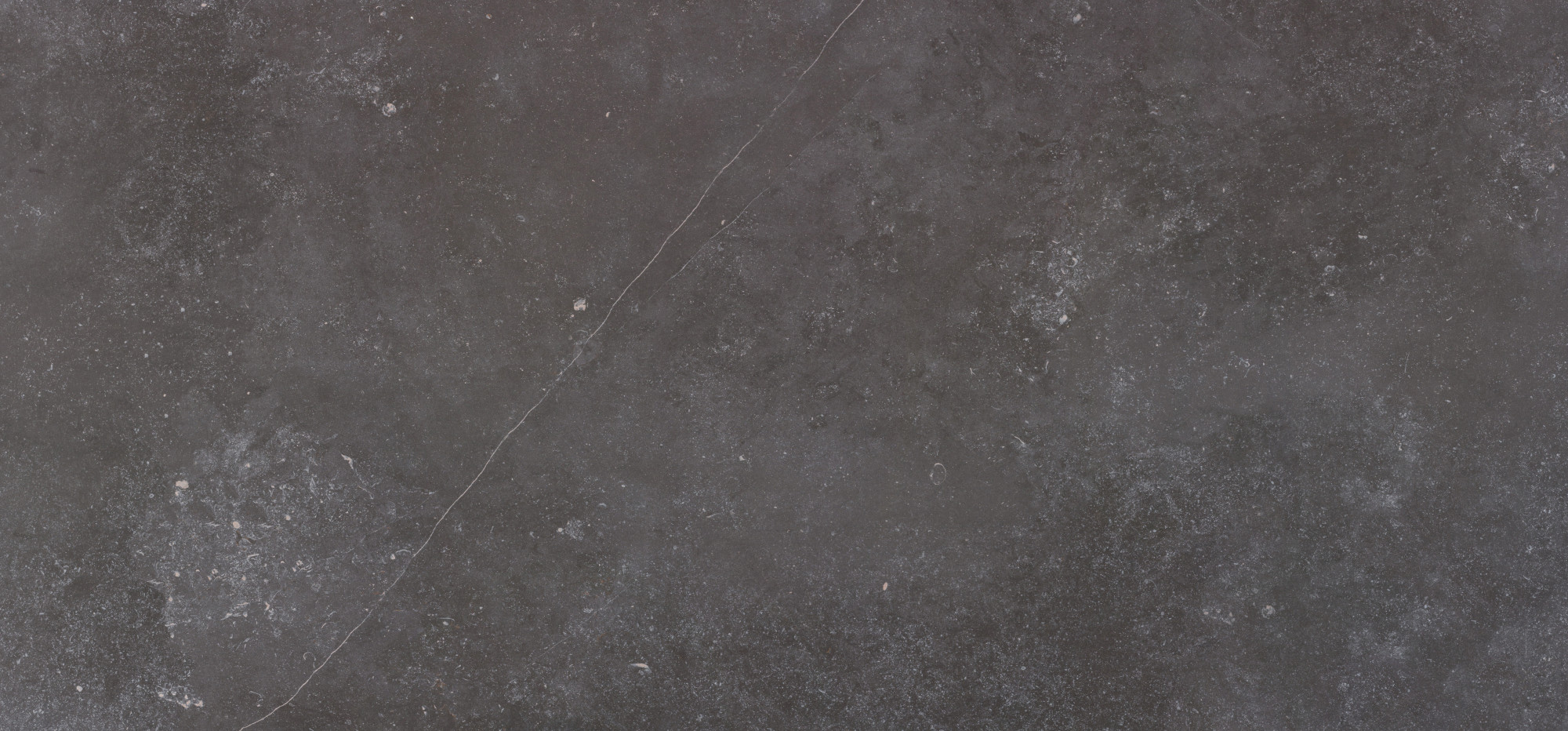 slab dekton fossil full slab